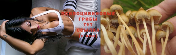 трава Алексин