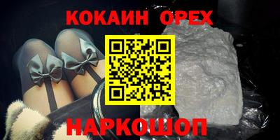Альфа ПВП Малгобек