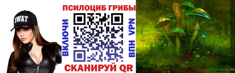 где продают наркотики  Подольск  Галлюциногенные грибы мухоморы 