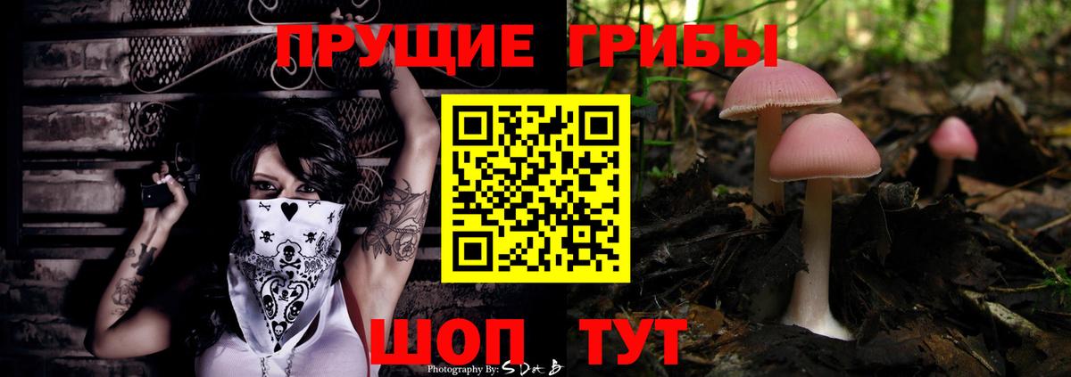 Псилоцибиновые грибы Psilocybine cubensis Подольск