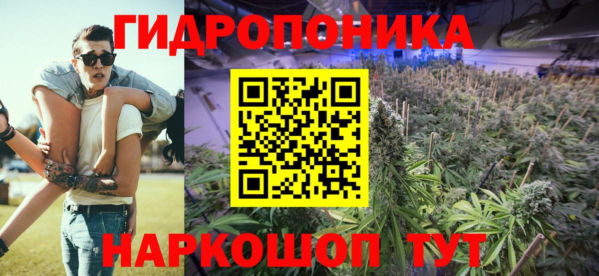 Шишки марихуана гибрид  Вход с VPN  Бошки марихуана индика  Марихуана гибрид  Подольск 